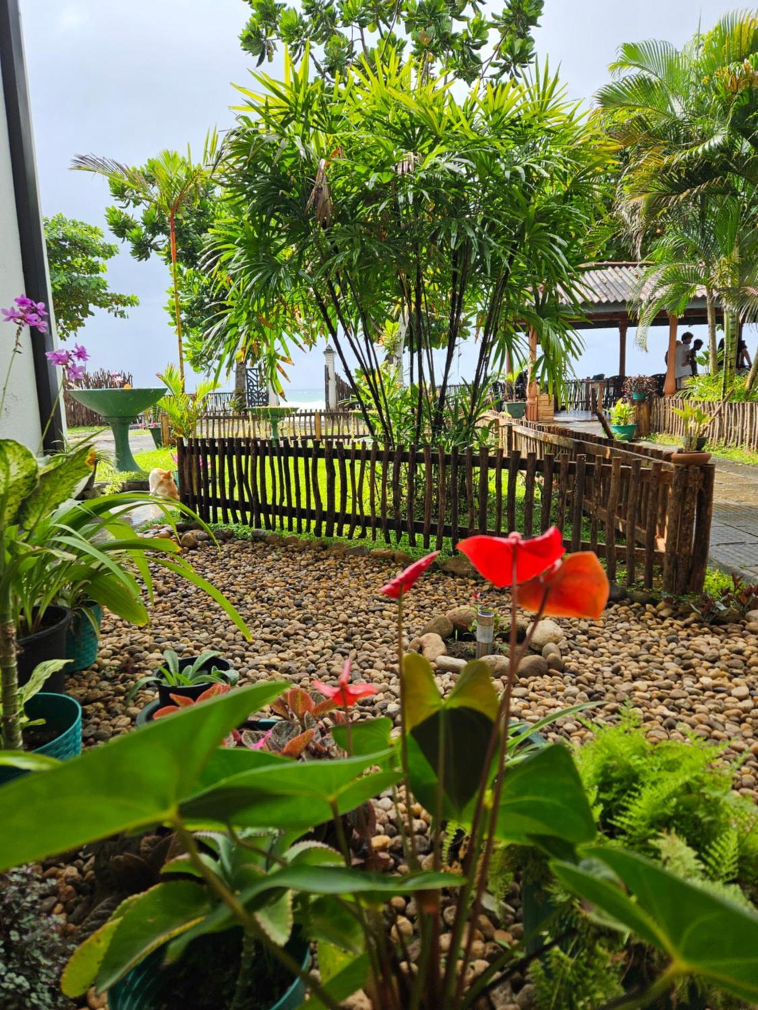 Balance Beach Resort Dikwella Ngoại thất bức ảnh