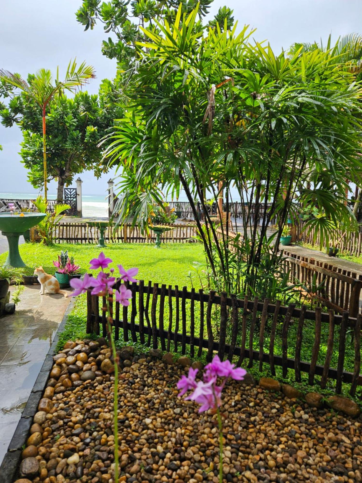 Balance Beach Resort Dikwella Ngoại thất bức ảnh