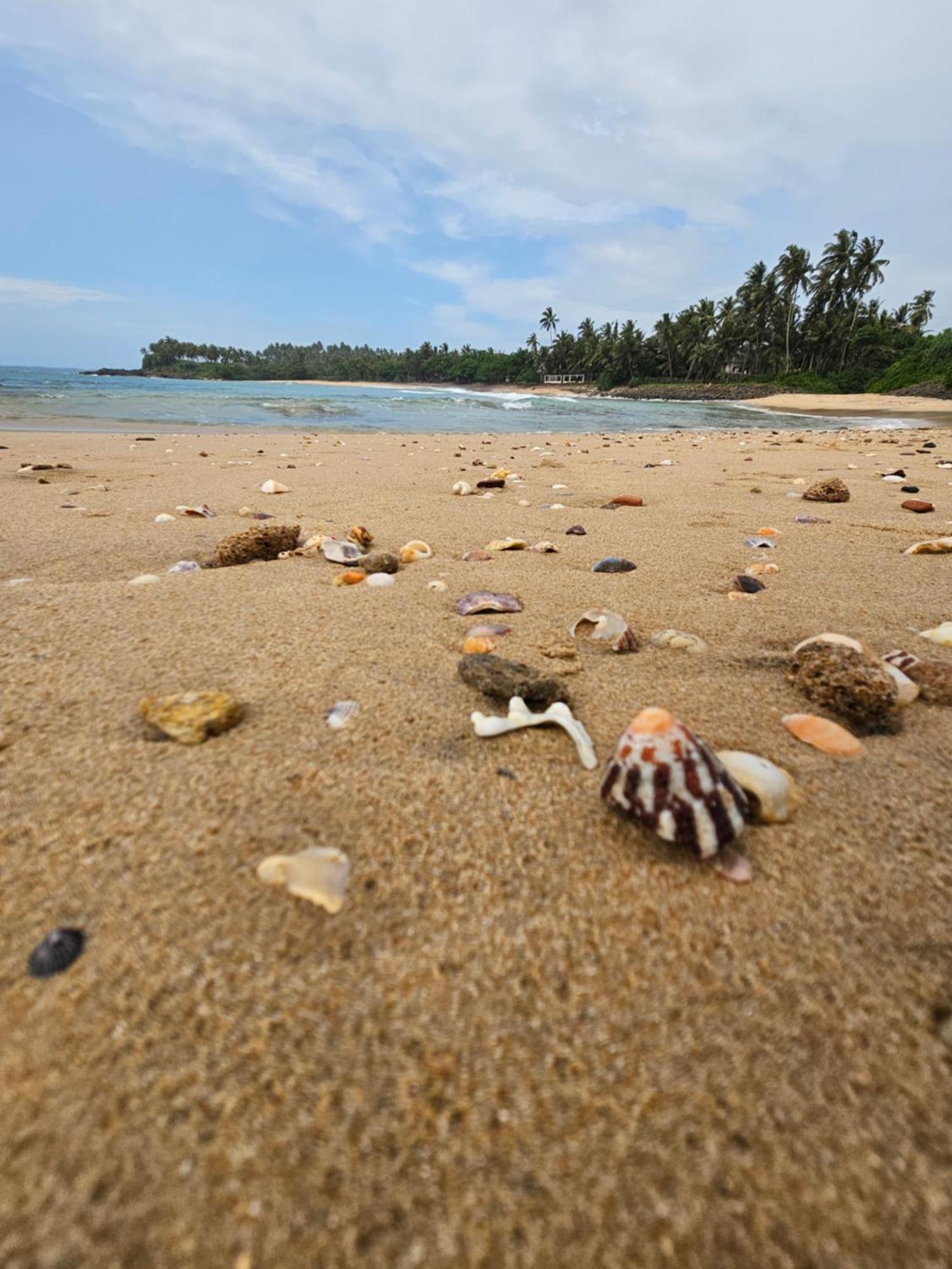 Balance Beach Resort Dikwella Ngoại thất bức ảnh