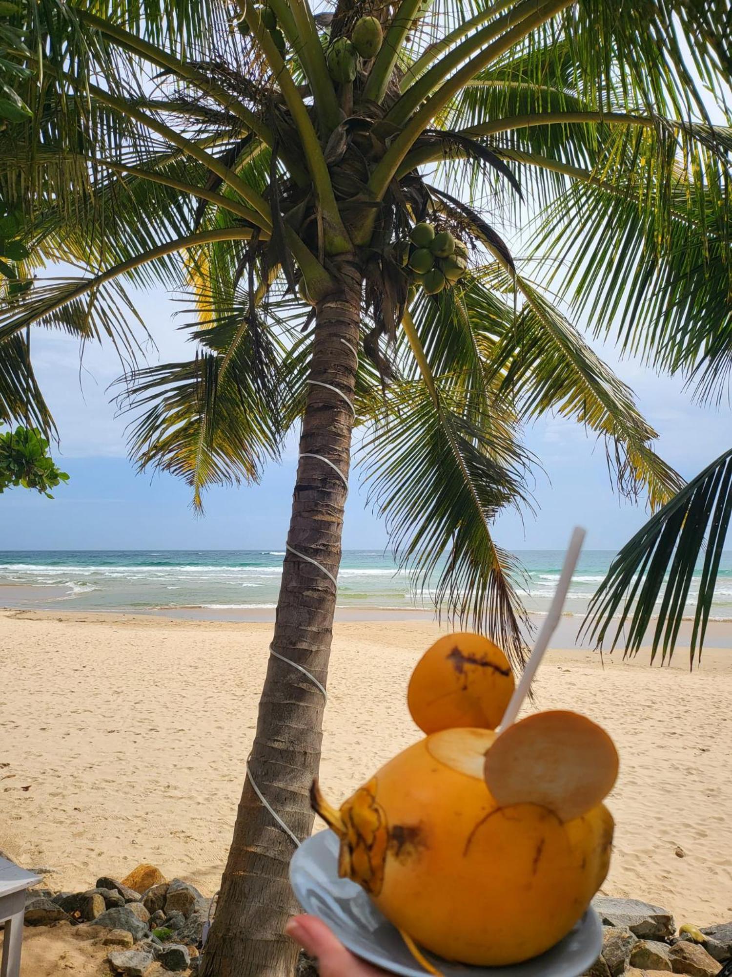 Balance Beach Resort Dikwella Ngoại thất bức ảnh