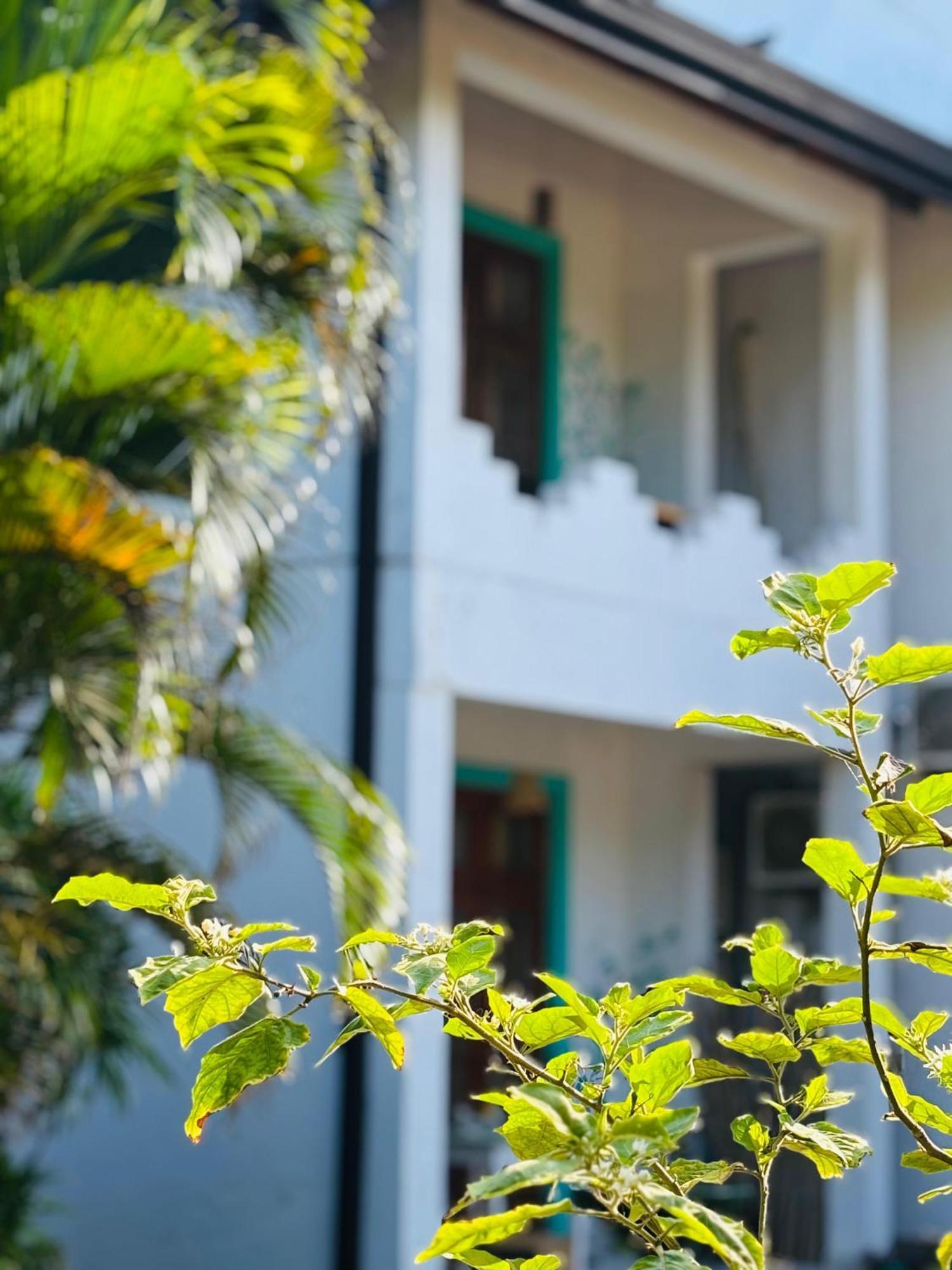 Balance Beach Resort Dikwella Ngoại thất bức ảnh