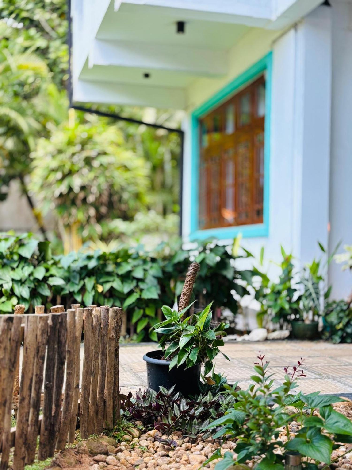 Balance Beach Resort Dikwella Ngoại thất bức ảnh