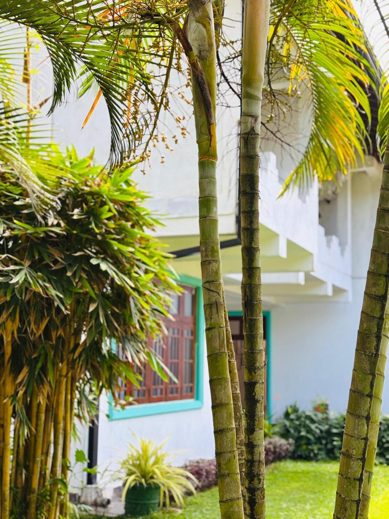 Balance Beach Resort Dikwella Ngoại thất bức ảnh