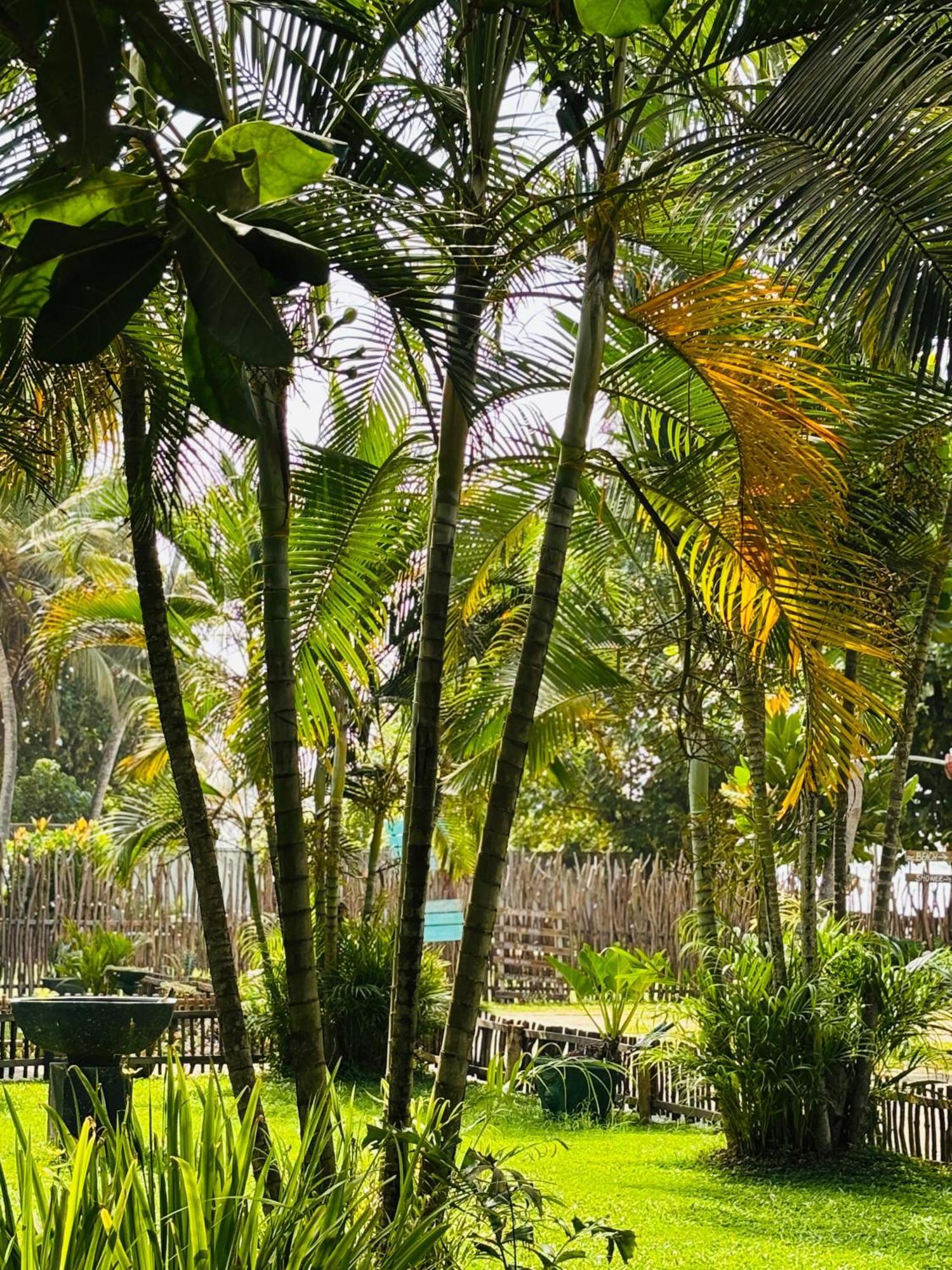 Balance Beach Resort Dikwella Ngoại thất bức ảnh
