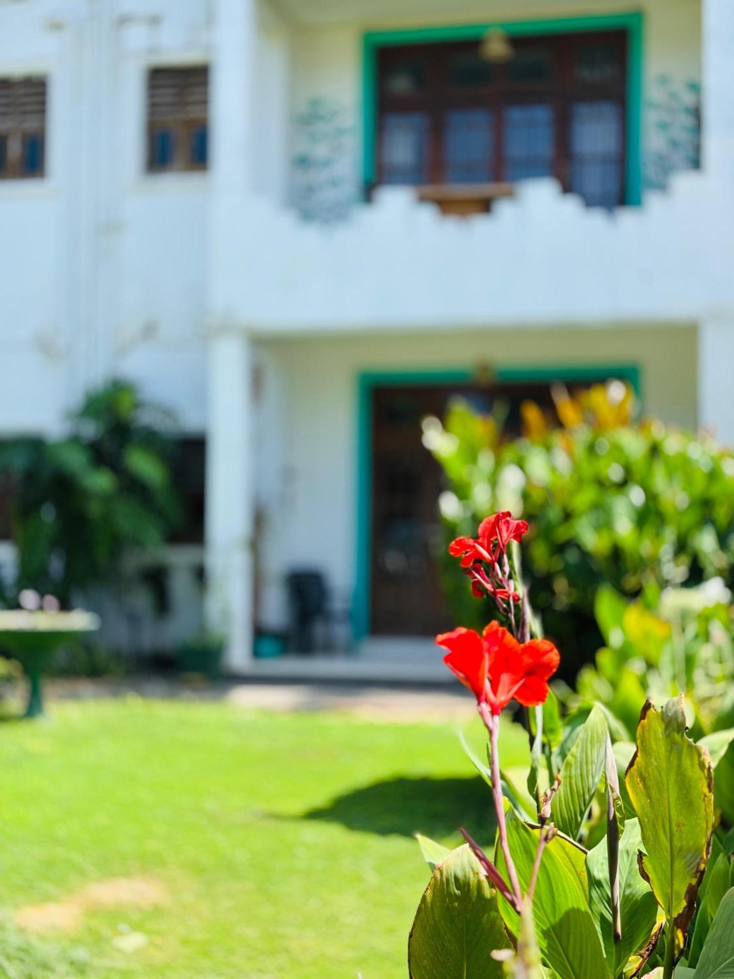 Balance Beach Resort Dikwella Ngoại thất bức ảnh